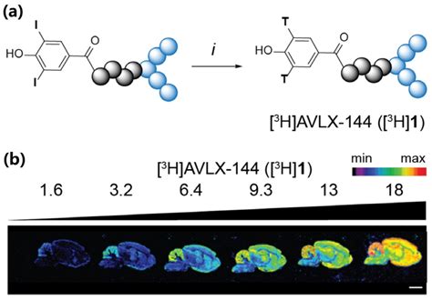 The Development and Application of Tritium.